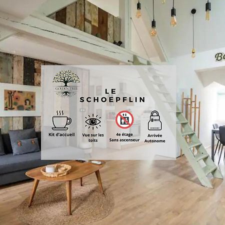 Le Schoepflin - Coeur De Strasbourg - Vue Toits Eksteriør bilde