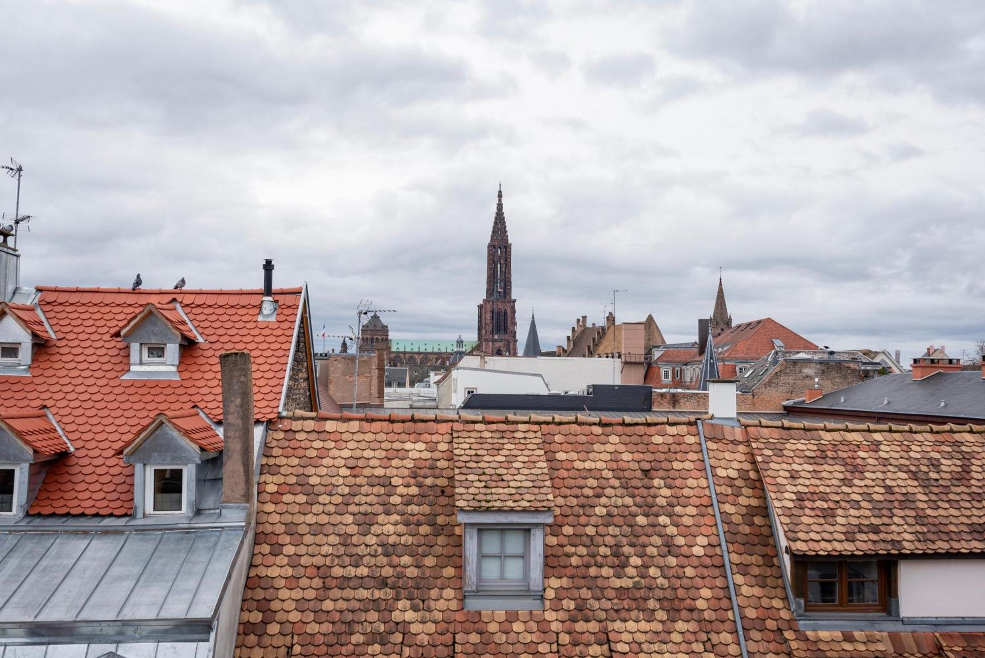 Le Schoepflin - Coeur De Strasbourg - Vue Toits Eksteriør bilde