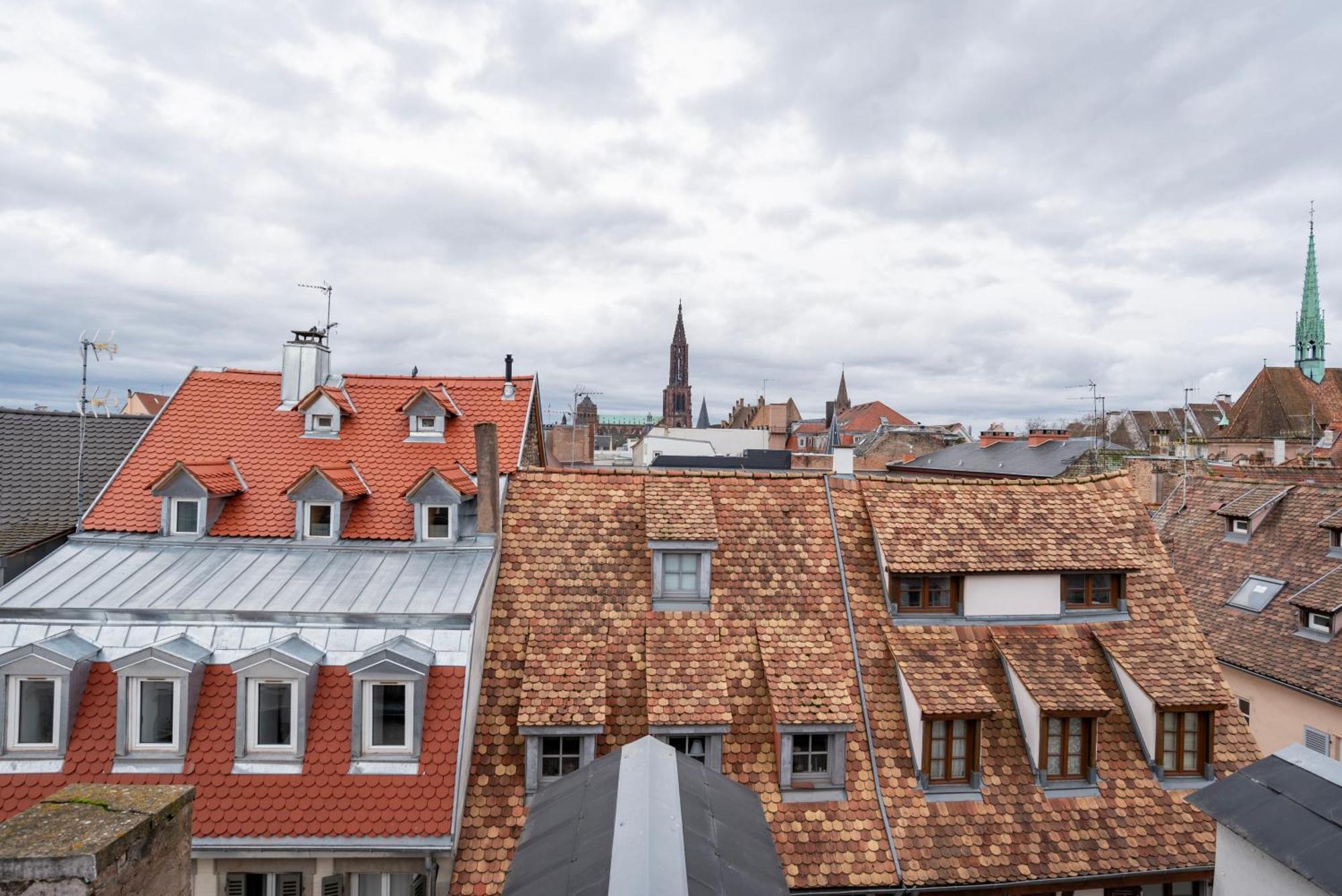 Le Schoepflin - Coeur De Strasbourg - Vue Toits Eksteriør bilde